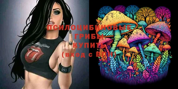 шишки Баксан